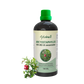 Arctostaphylos uva ursi UE 100ml