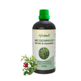 Arctostaphylos uva ursi UE 100ml