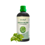 Ginkgo biloba UE 100ml