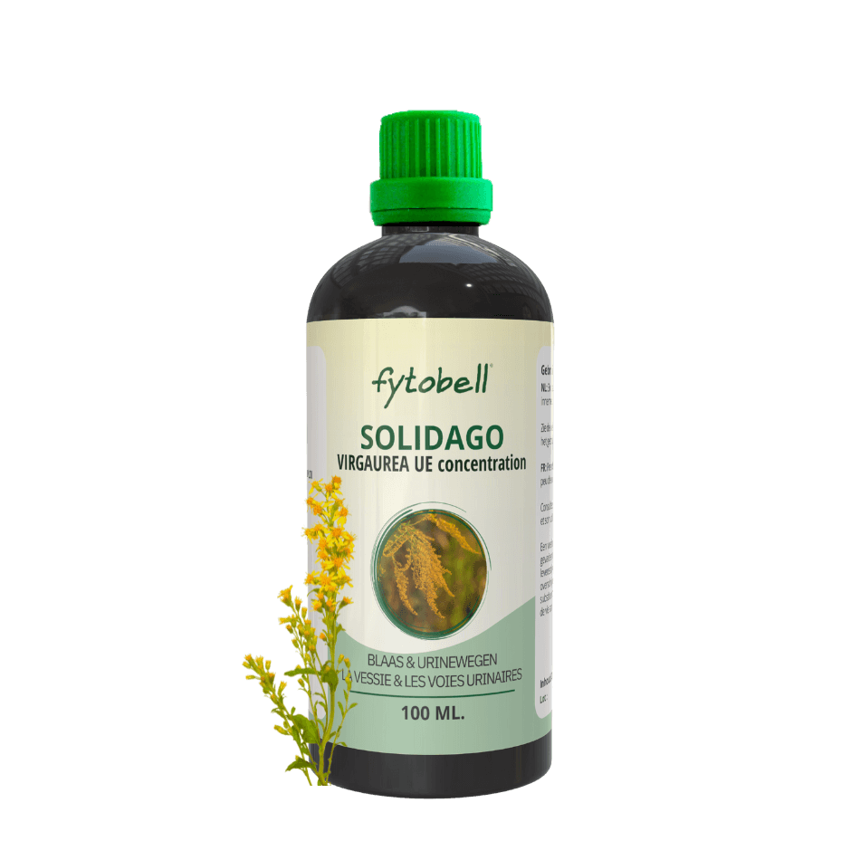 Solidago virgaurea UE 100 ml