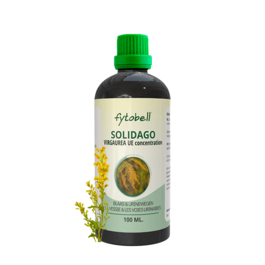 Solidago virgaurea UE 100 ml