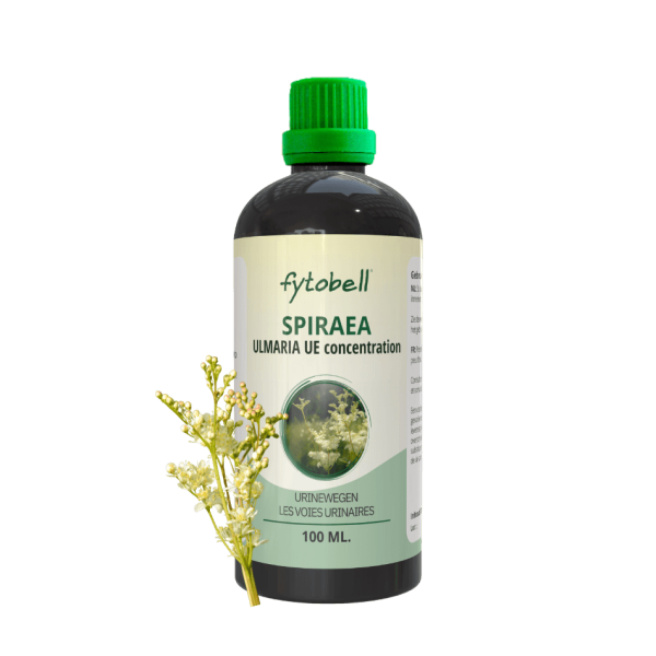 Spiraea ulmaria BE 100ml