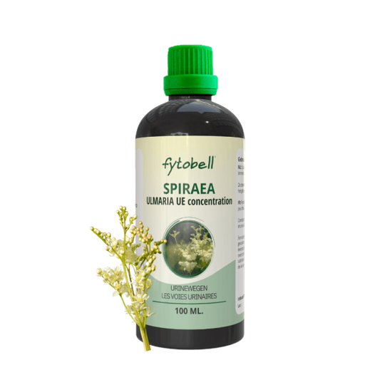 Spiraea ulmaria BE 100ml