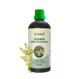 Spiraea ulmaria BE 100ml