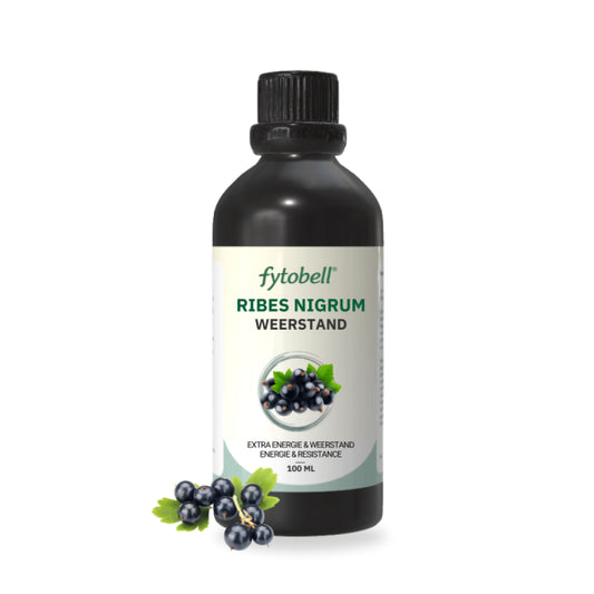 Ribes Nigrum GLM 100 ml.